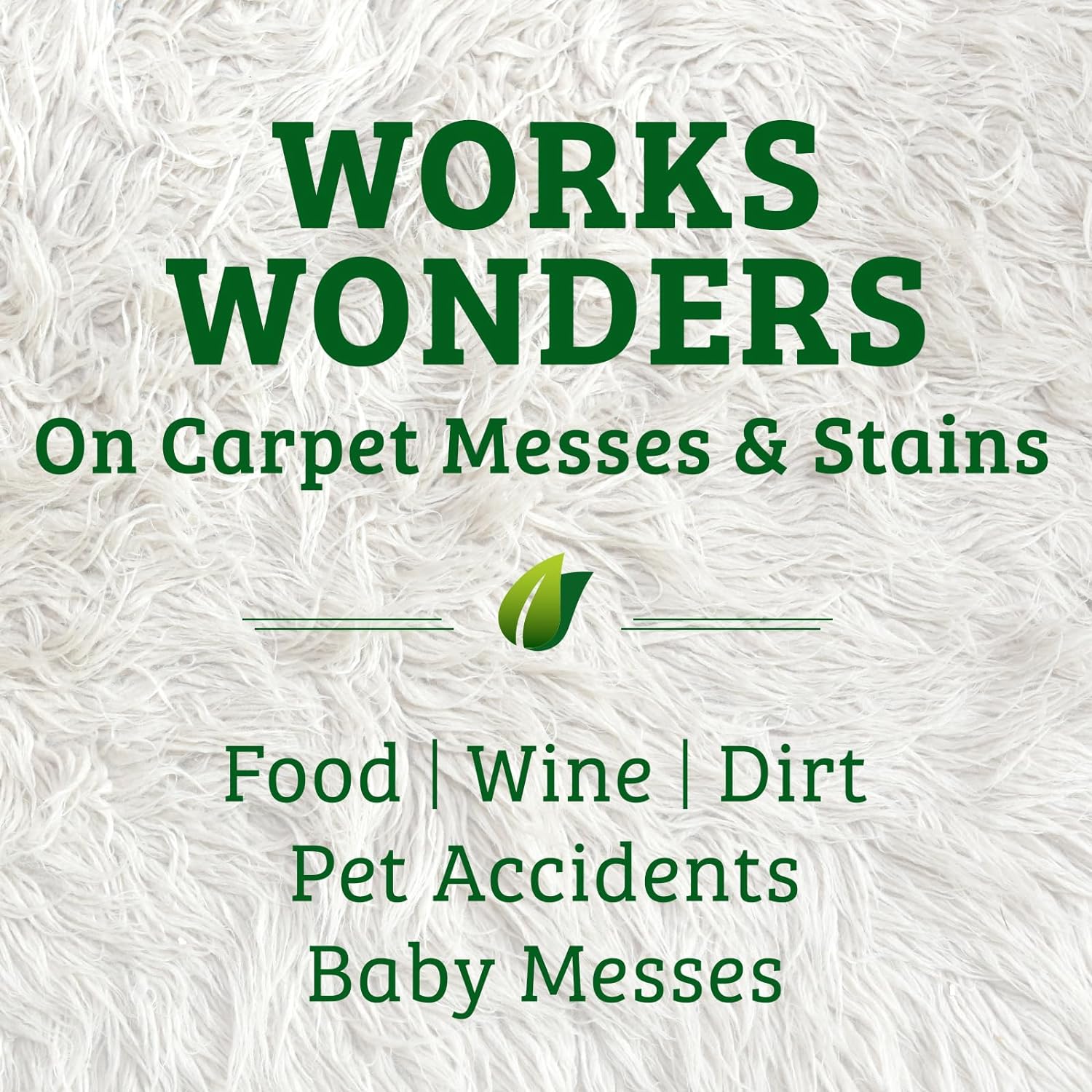 Biokleen Bac-Out Enzymatic Stain & Odor Remover for Carpet - Removes Stains and odors caused by dirt, pet accidents, wine, food, smoke - 2 Pack 32 oz w/Micro Cleaning Towel